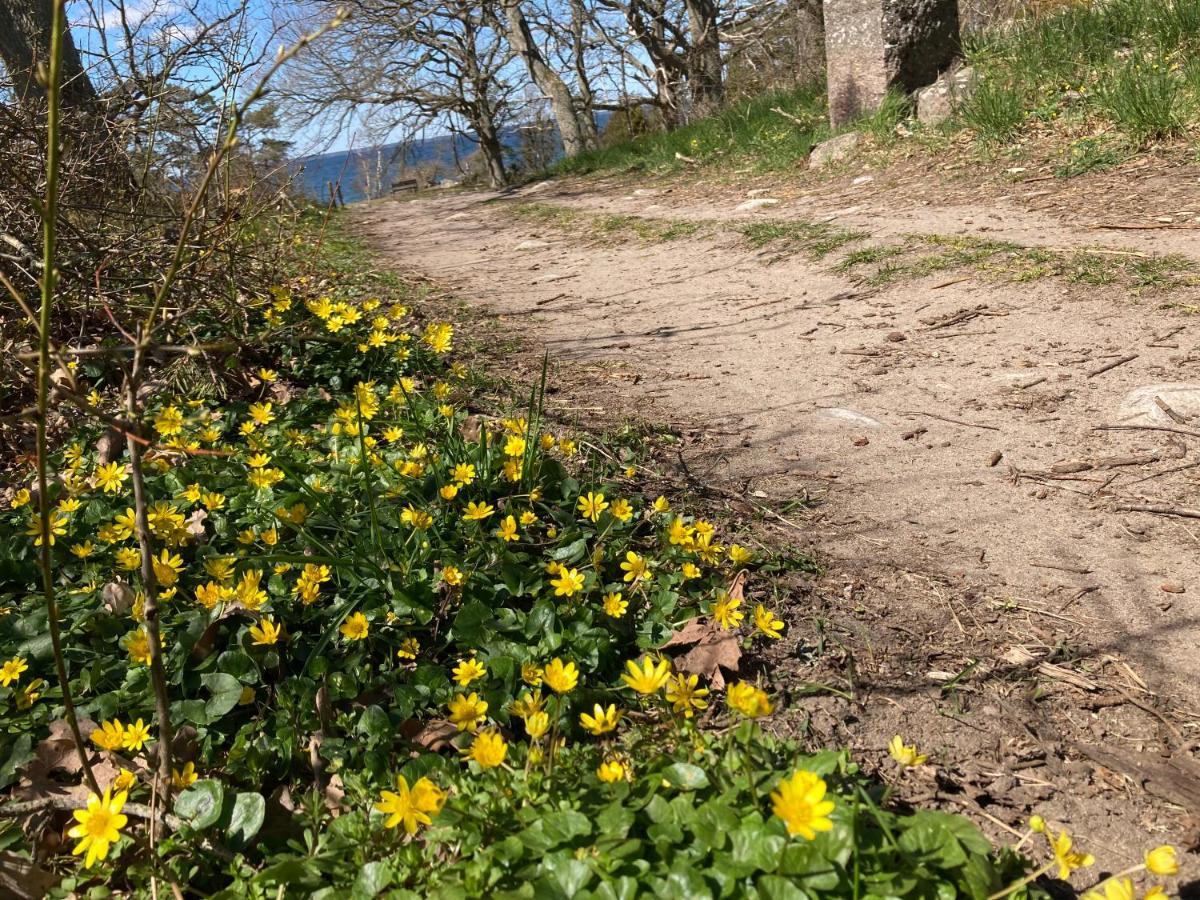 Gunnabo Villa Borgholm Buitenkant foto